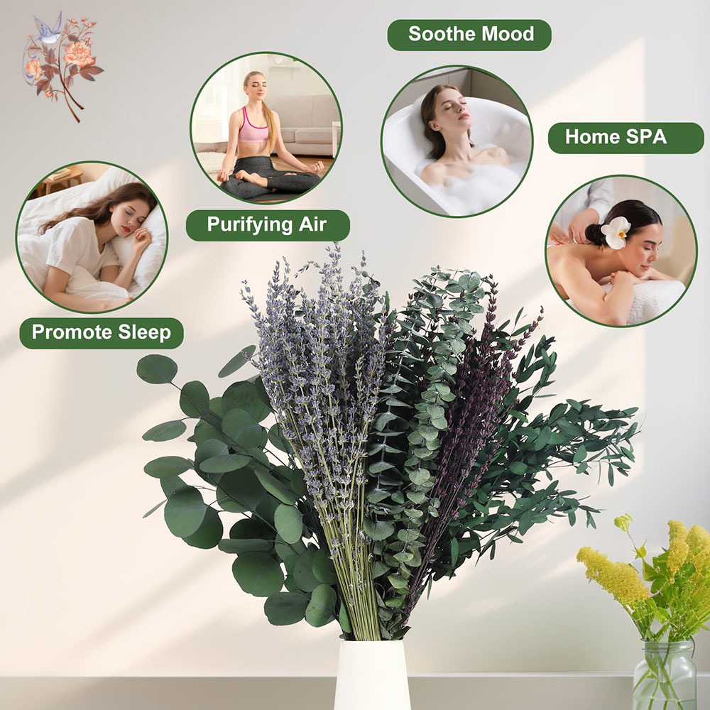 110 шт. смешанные сушеные лист – обзор и цена Home Fragrance Fillers
