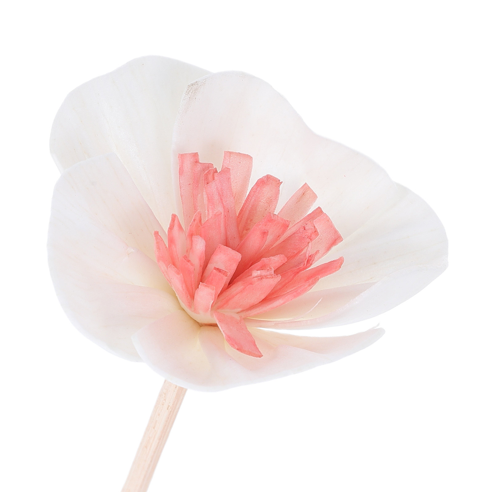 10 шт. черных многопористых фи – обзор и цена Home Fragrance Diffuser