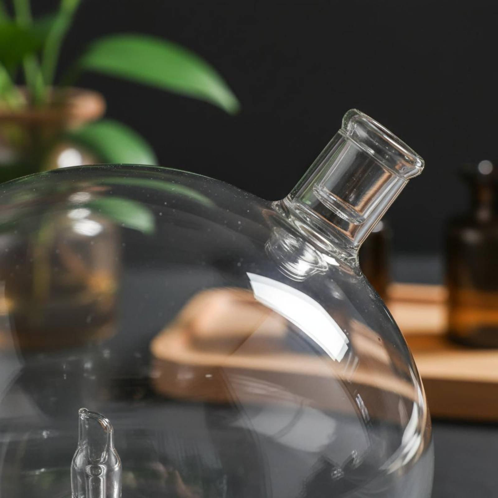 Универсальный стеклянный сменн – обзор и цена Home Fragrance Diffuser